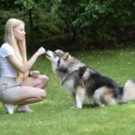Hundetraining Mindset: Wie sich deine Gedanken auf deinen Hund auswirken – der Einfluss deines inneren Zustands