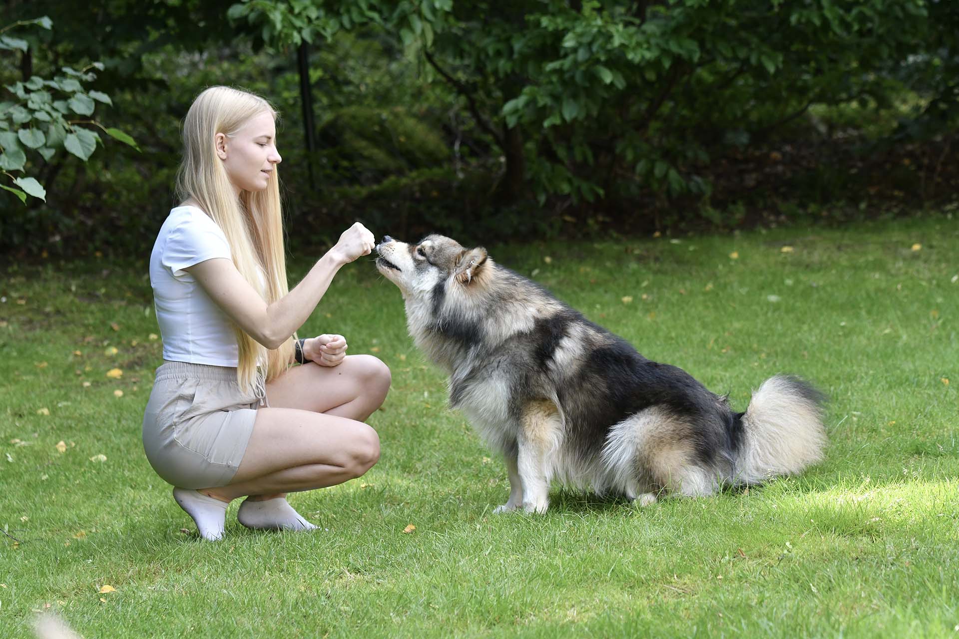 Hundetraining Mindset: Wie sich deine Gedanken auf deinen Hund auswirken – der Einfluss deines inneren Zustands